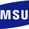 Samsung Galaxy Grand DUOS para enero